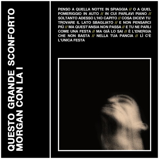 Copertina Questo grande sconforto