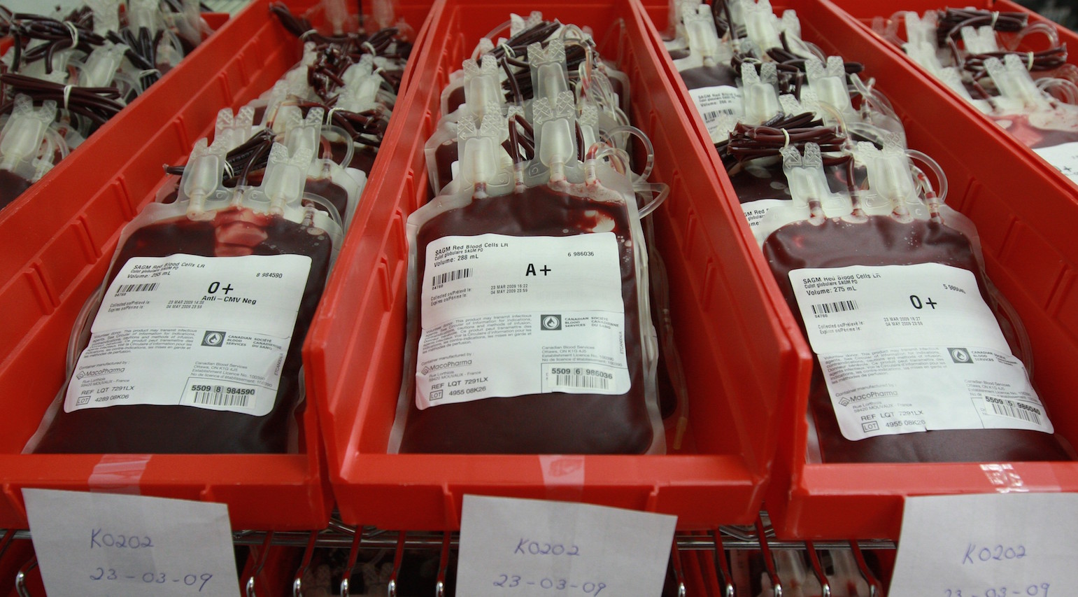 blood-banks-in-delhi