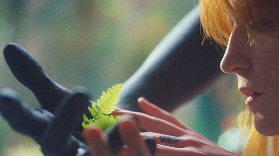 9f1e38a13264246a921b3e4432b71594